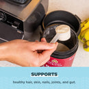 Ancient Nutrition, Multi Collagen, Protein, Brain Boost, Vanilla, 45 Servings, 16.03 oz (454.5 g) - DailyVita