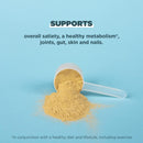 Ancient Nutrition, Bone Broth Protein, Tomato Basil, 15 Servings, 13.65 oz (387 g) - DailyVita