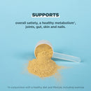 Ancient Nutrition, Bone Broth Protein, Chicken Soup, 15 Servings, 11.37 oz (323 g) - DailyVita