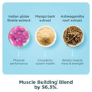 Ancient Nutrition, Multi Collagen Advanced, Capsules, Muscle, 90ct - DailyVita