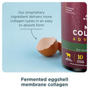 Ancient Nutrition, Multi Collagen Advanced, Powder, Lean, Cinnamon, 25 Servings, 16 oz (450 g) - DailyVita