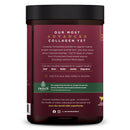 Ancient Nutrition, Multi Collagen Advanced, Powder, Lean, Cinnamon, 25 Servings, 16 oz (450 g) - DailyVita