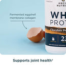 Ancient Nutrition® Whey Protein Chocolate Peanut Butter 18 Servings 594 g