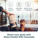 Ancient Nutrition® 유청 단백질 밀크 초콜릿 20인분 646 g