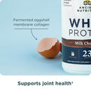 Ancient Nutrition® Whey Protein Milk Chocolate 20 Servings 646 g - DailyVita