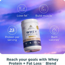 Ancient Nutrition® Whey Protein + Fat Loss Blend Cinnamon Vanilla 18 Servings 572 g - DailyVita