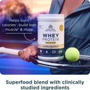Ancient Nutrition® Whey Protein + Fat Loss Blend Cinnamon Vanilla 18 Servings 572 g - DailyVita
