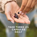 CLEARANCE! Solgar Full Spectrum Curcumin Brain Works 90 Licaps, BEST BY 01/2026 - DailyVita