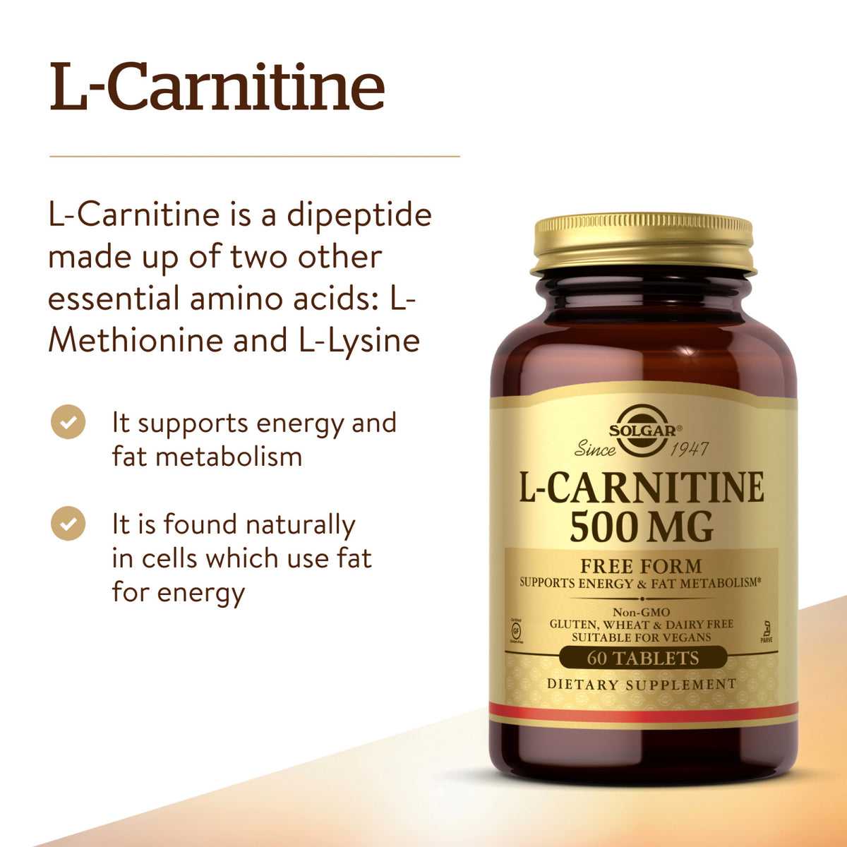 Solgar L-Carnitine 500 mg 60 vin | DailyVita