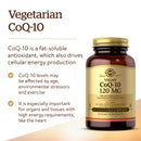 Solgar Vegan CoQ-10 120 mg 60 Vegetable Capsules - DailyVita