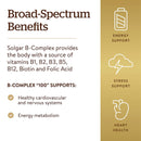 Solgar B-Complex "100" 250 Tablets - DailyVita