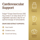 Solgar Grape Seed Extract 100 mg 60 Vegetable Capsules - DailyVita