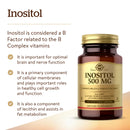 Solgar Inositol 500 mg 100 Vegetable Capsules - DailyVita