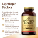 Solgar Lipotropic Factors 100 Tablets - DailyVita