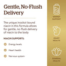 Solgar No-Flush Niacin 500 mg (Vitamin B3) (Inositol Hexanicotinate) 100 Vegetable Capsules - DailyVita