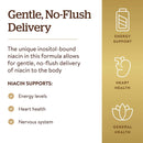 Solgar No-Flush Niacin 500 mg (Vitamin B3) (Inositol Hexanicotinate) 250 Vegetable Capsules - DailyVita