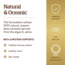 Solgar Oceanic Beta-Carotene 25000 IU 90 Softgels - DailyVita