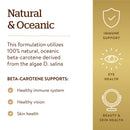Solgar Oceanic Beta-Carotene 25000 IU 180 Softgels - DailyVita