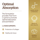 Solgar Taurine 500 mg 100 Vegetable Capsules - DailyVita