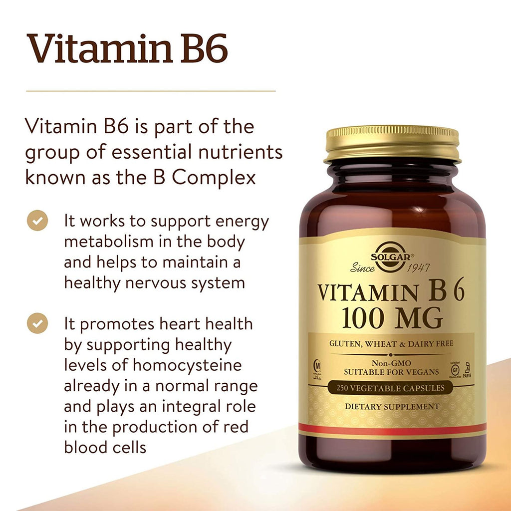 Solgar Vitamin B6 100 mg 250 Vegetable Capsules - DailyVita