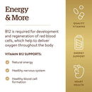 Solgar Vitamin B12 500 mcg 250 Vegetable Capsules - DailyVita