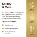 Solgar Vitamin B12 500 mcg 100 Tablets - DailyVita