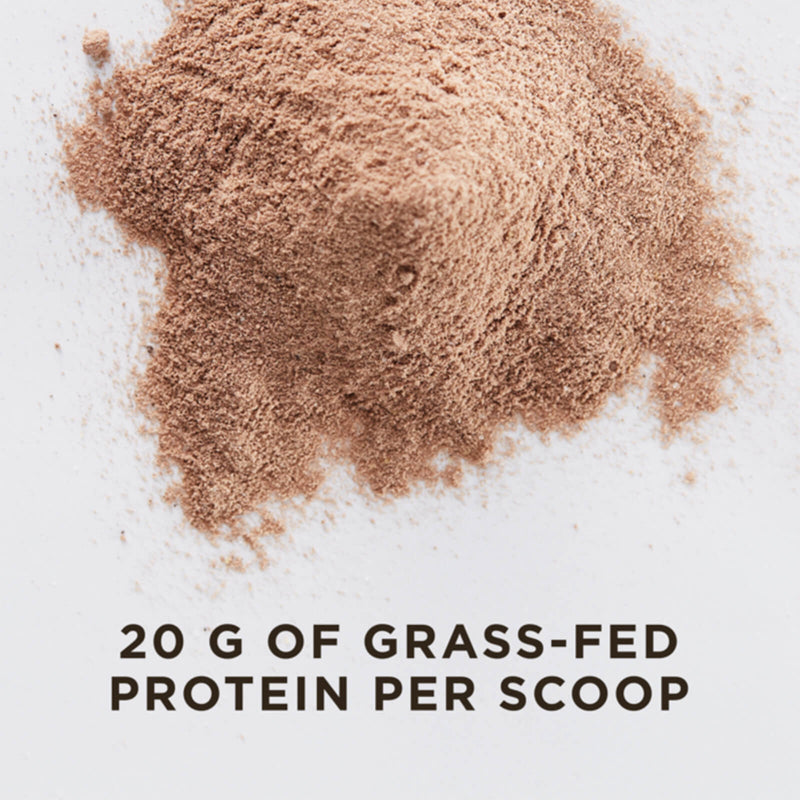 Solgar Grass-Fed Whey To Go Protein Natural Chocolate Flavor 13.2 oz Powder