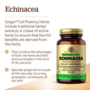 Solgar FP Echinacea 100 Vegetable Capsules - DailyVita