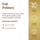 Solgar FP Echinacea 100 Vegetable Capsules - DailyVita