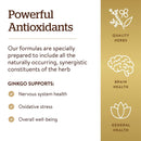 CLEARANCE! Solgar FP Super Ginkgo 120 Vegetable Capsules, BEST BY 08/2025 - DailyVita