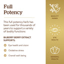 Solgar SFP Bilberry Berry Extract 60 Vegetable Capsules - DailyVita