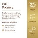 Solgar SFP Boswellia Resin Extract 60 Vegetable Capsules - DailyVita