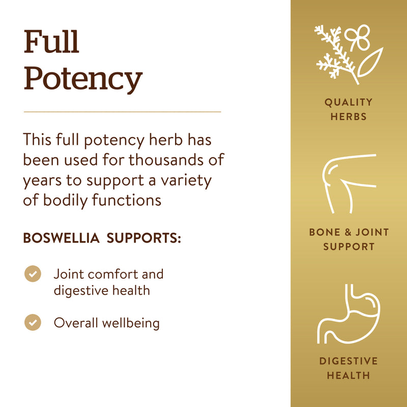 Solgar SFP Boswellia Resin Extract 60 Vegetable Capsules - DailyVita