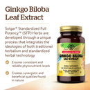Solgar SFP Ginkgo Biloba Leaf Extract 180 Vegetable Capsules - DailyVita