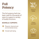 Solgar SFP Rhodiola Root Extract 60 Vegetable Capsules - DailyVita