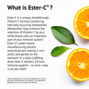 Solgar Ester-C 500  MG with Citrus Bioflavonoids - 240 Vegetable Capsules - DailyVita
