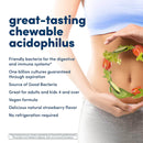 Solgar Chewable Acidophilus And Bifidum 1 Billion Natural Strawberry - 60 Wafers - DailyVita