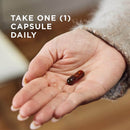 CLEARANCE! Solgar Full Spectrum Curcumin Liquid Extract 30 Softgels, BEST BY 11/2025 - DailyVita