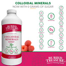 Buried Treasure Colloidal Minerals Complex Plant Derived Essential Minerals, Natural Energy & Immunity Support, 32 servings - Natural Raspberry - DailyVita