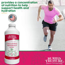 Buried Treasure Colloidal Minerals Complex Plant Derived Essential Minerals, Natural Energy & Immunity Support, 32 servings - Natural Raspberry - DailyVita