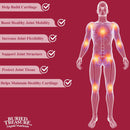 Buried Treasure Joint Ease Plus Advanced Liquid Formula - 16.54 oz - DailyVita