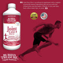 Buried Treasure Joint Ease Plus Advanced Liquid Formula - 16.54 oz - DailyVita