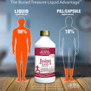 Buried Treasure Joint Ease Plus Advanced Liquid Formula - 16.54 oz - DailyVita