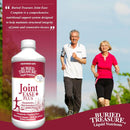 Buried Treasure Joint Ease Plus Advanced Liquid Formula - 16.54 oz - DailyVita