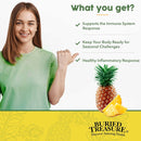 CLEARANCE! Buried Treasure Aller ease Liquid Nutrients 16 fl oz (473 ml), BEST BY 03/2026 - DailyVita