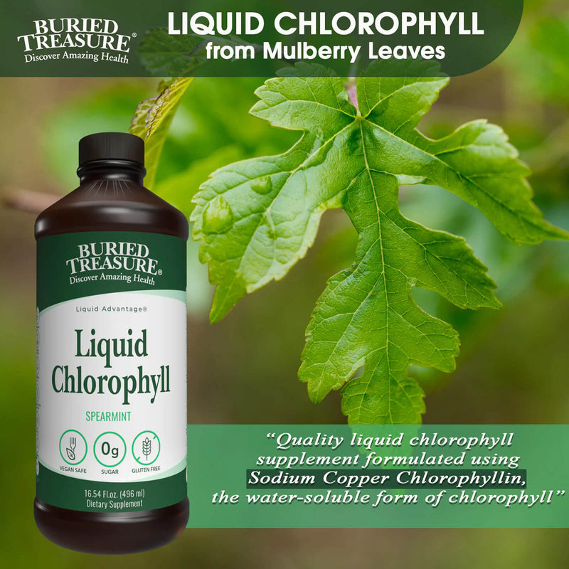 Buried Treasure Liquid Chlorophyll 16 fl oz (473 ml) - DailyVita