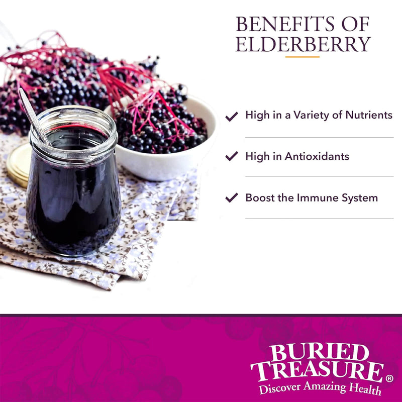 Buried Treasure Elderberry ACF with 4,000 mg Elderberry Sambucus Whole Fruit Concentrate Plus 16 oz - 32 servings - DailyVita