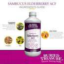 Buried Treasure Elderberry ACF with 4,000 mg Elderberry Sambucus Whole Fruit Concentrate Plus 16 oz - 32 servings - DailyVita