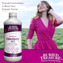 Buried Treasure Elderberry ACF with 4,000 mg Elderberry Sambucus Whole Fruit Concentrate Plus 16 oz - 32 servings - DailyVita