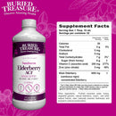 Buried Treasure Elderberry ACF with 4,000 mg Elderberry Sambucus Whole Fruit Concentrate Plus 16 oz - 32 servings - DailyVita